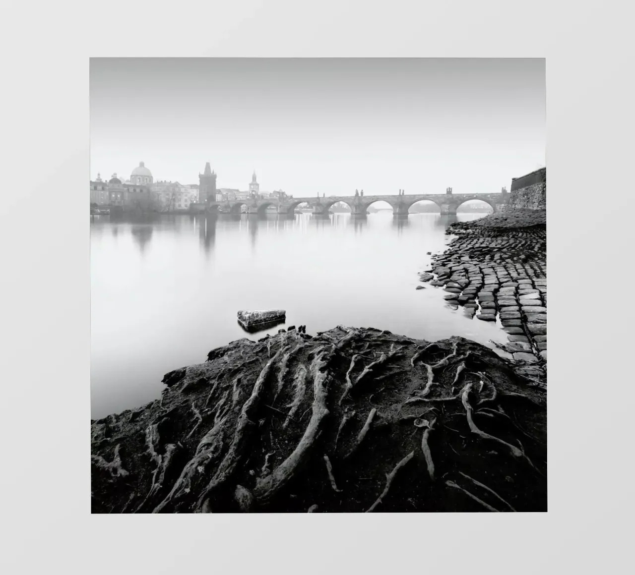 Vltava River Study 8 - Prag 2020 pellicola backlit da Håggard Photography | Ronny Behnert