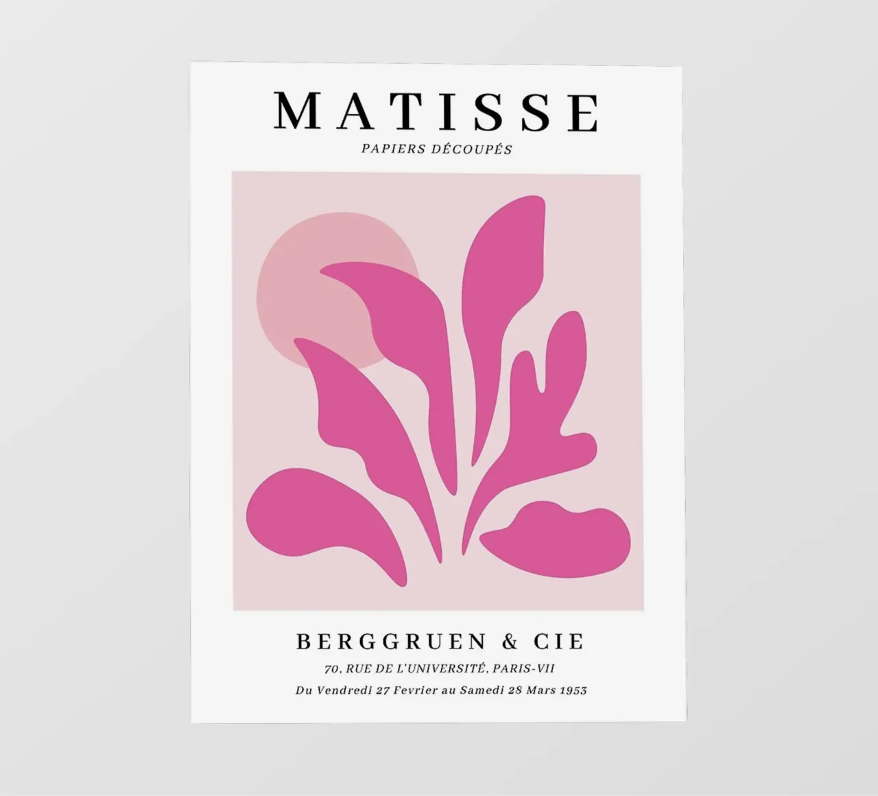 Matisse - Fiore rosa pellicola backlit da Perdana shop