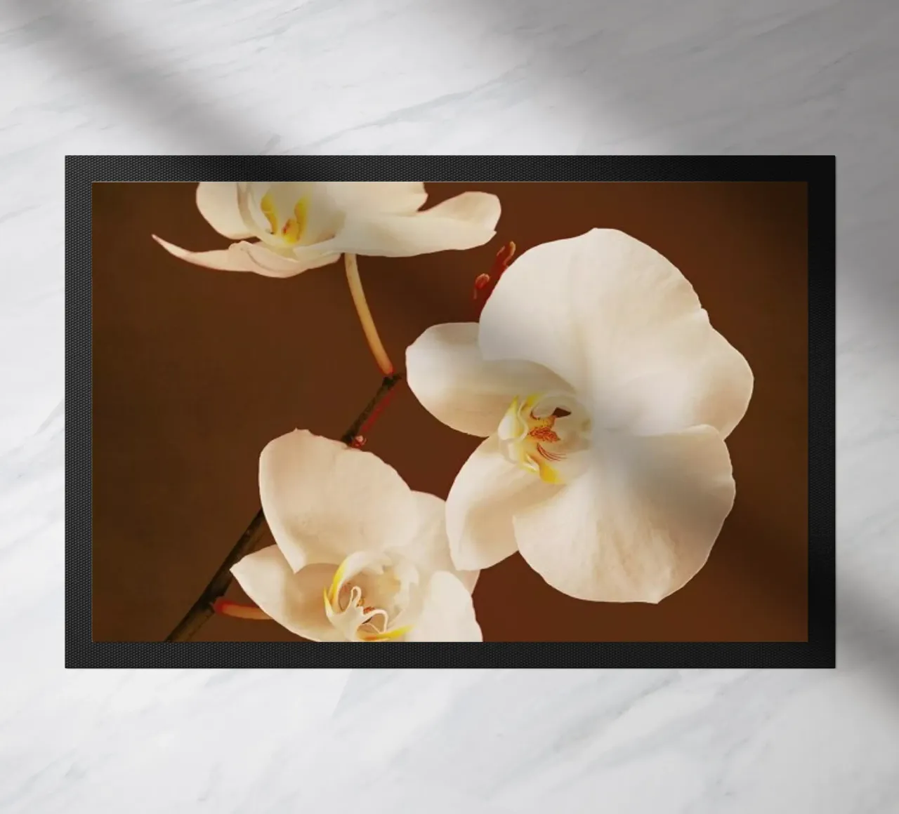 Dew Drops zerbino da Flora & Fauna