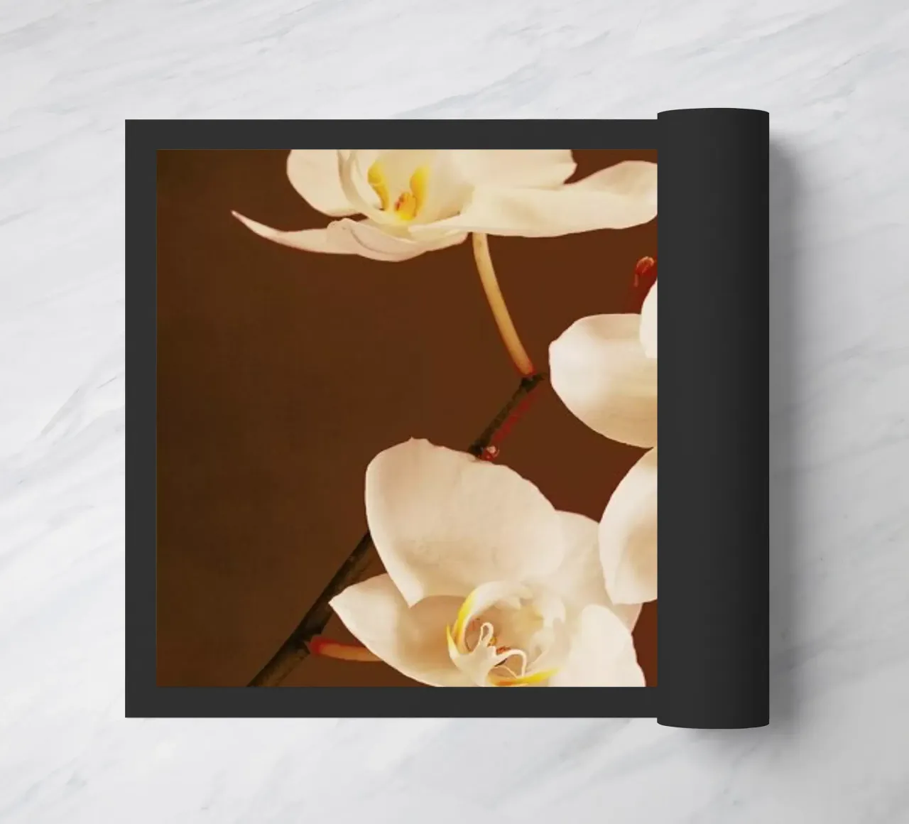 Dew Drops zerbino da Flora & Fauna