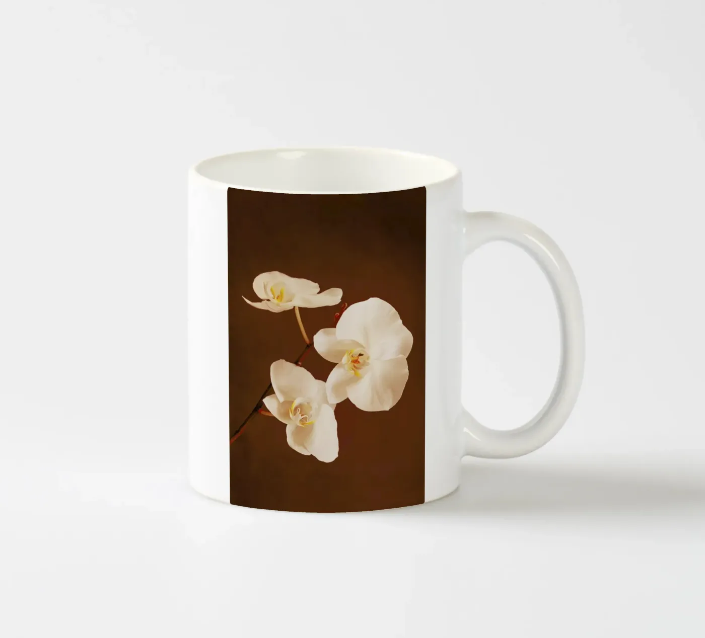 Dew Drops ceramic mug by Flora & Fauna