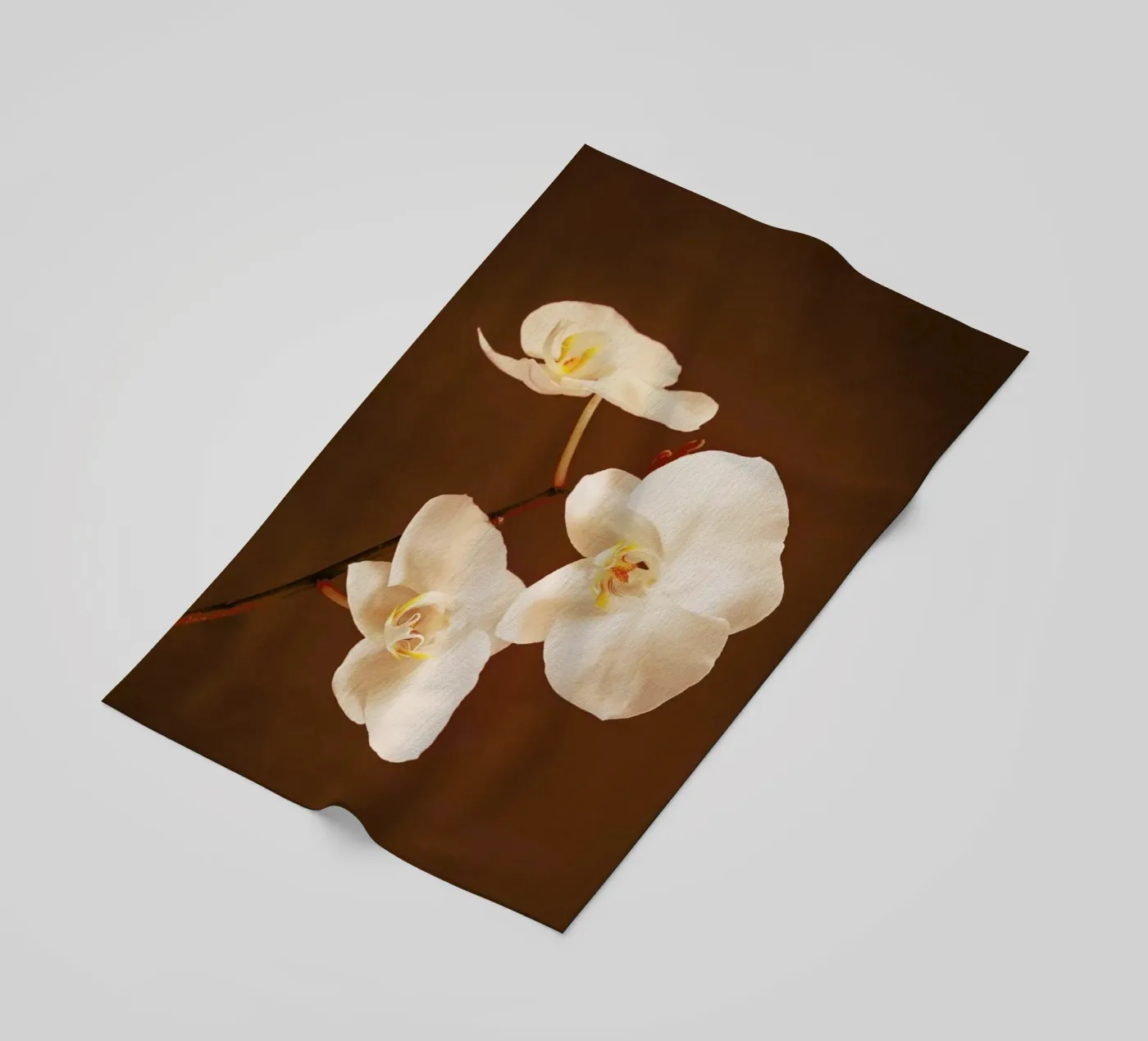 Dew Drops strandhanddoek van Flora & Fauna