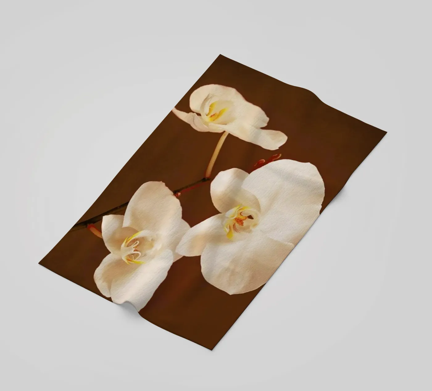 Dew Drops strandhanddoek van Flora & Fauna