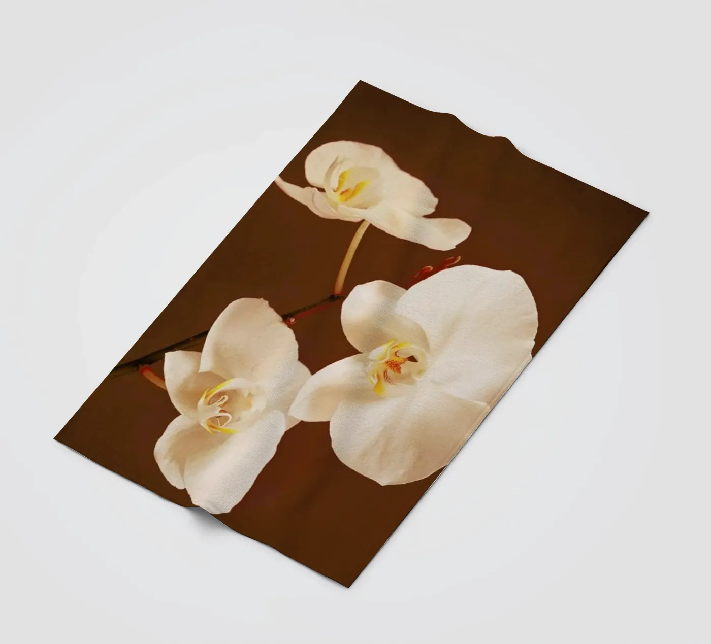 Dew Drops fleece blanket by Flora & Fauna