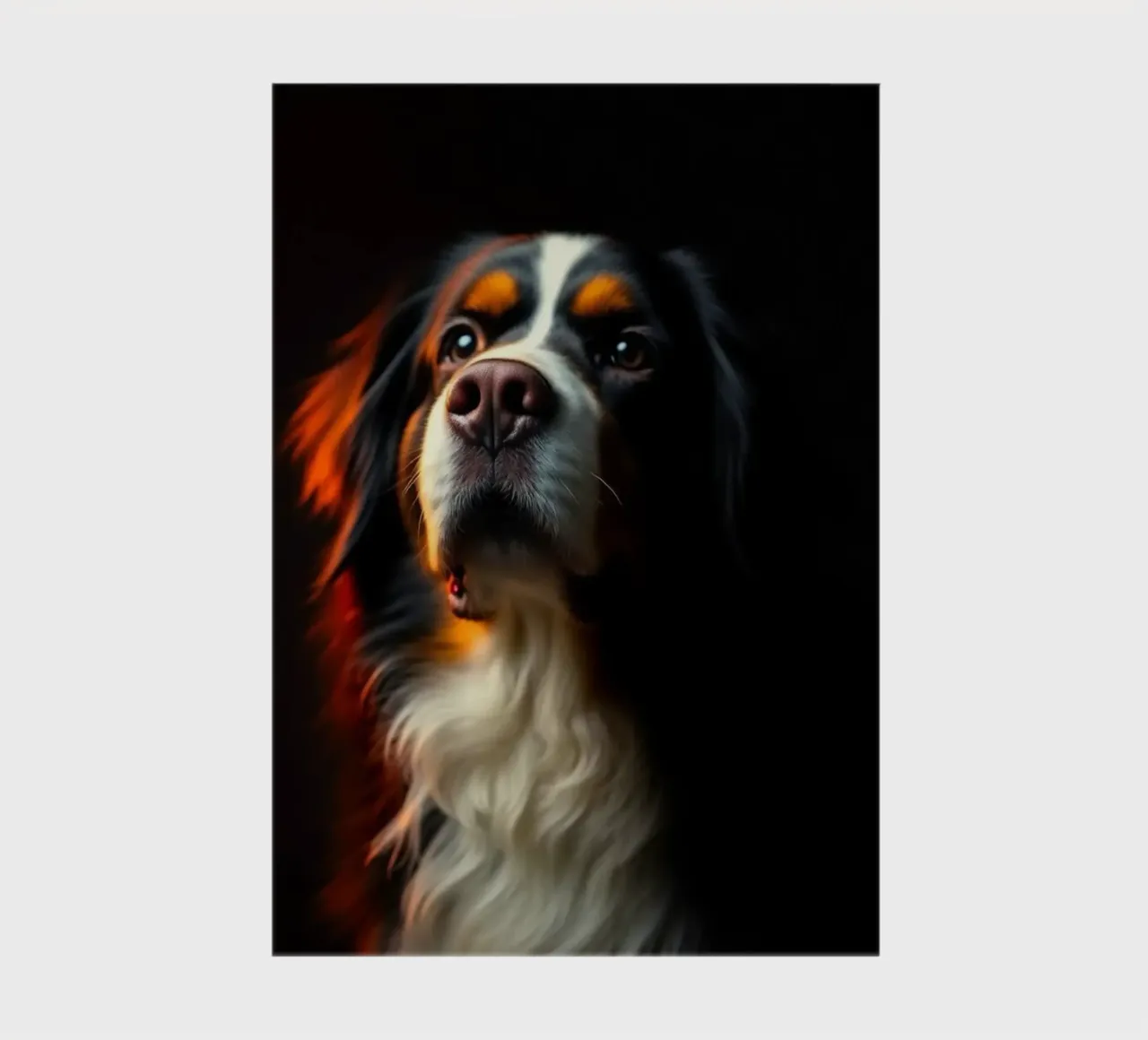 Bellissimo cane da montagna bernese #4 diario da Yumis.Beargang.and.Me