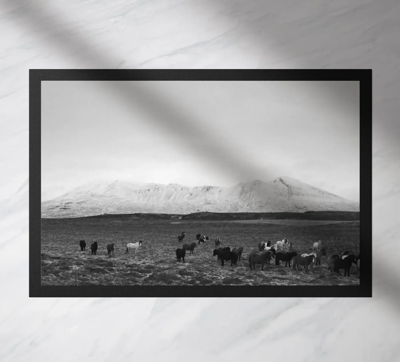 The herd zerbino da Nur Mut