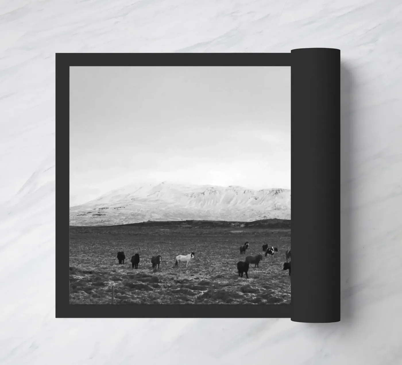 The herd zerbino da Nur Mut