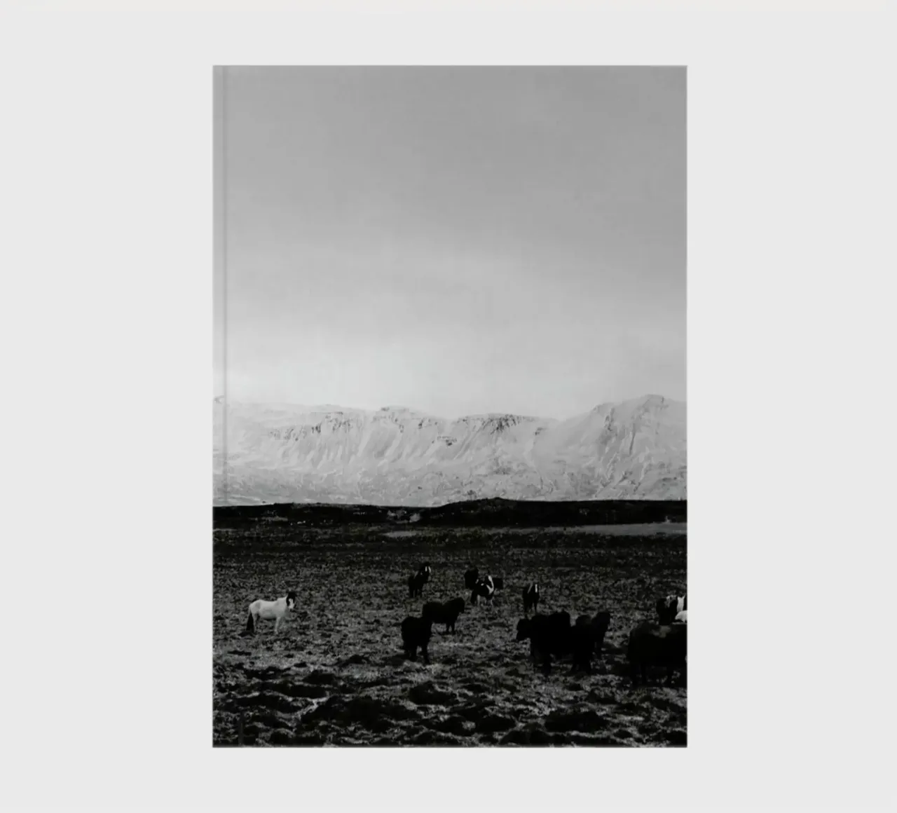 The herd notebook by Nur Mut