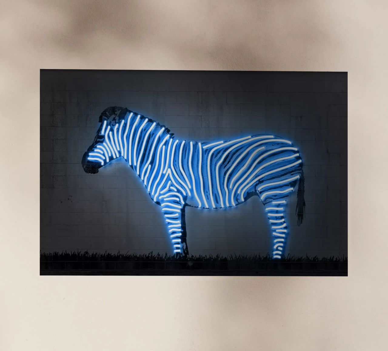 Zebra pellicola backlit da Octavian