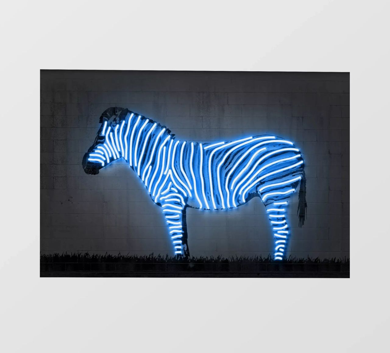 Zebra pellicola backlit da Octavian