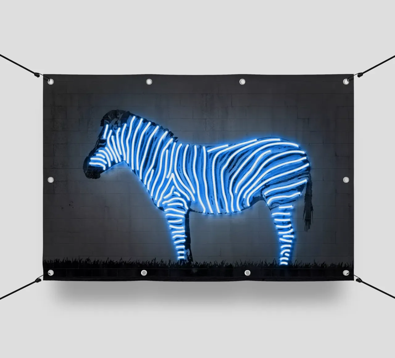 Zebra pvc cover by Octavian