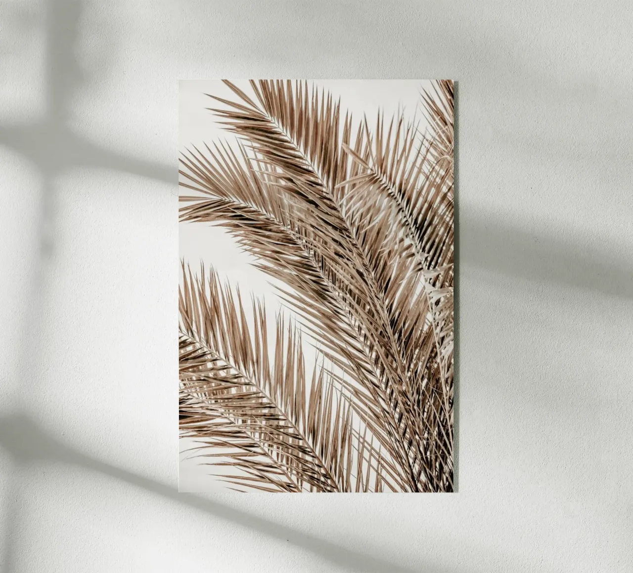 Palms Of Madeira 1 plexiglass da Monika Strigel