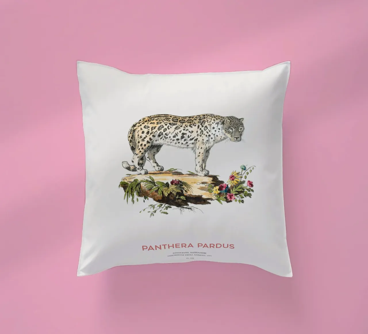 Art scientifique ancien sur le léopard coussin de Vintagrafica