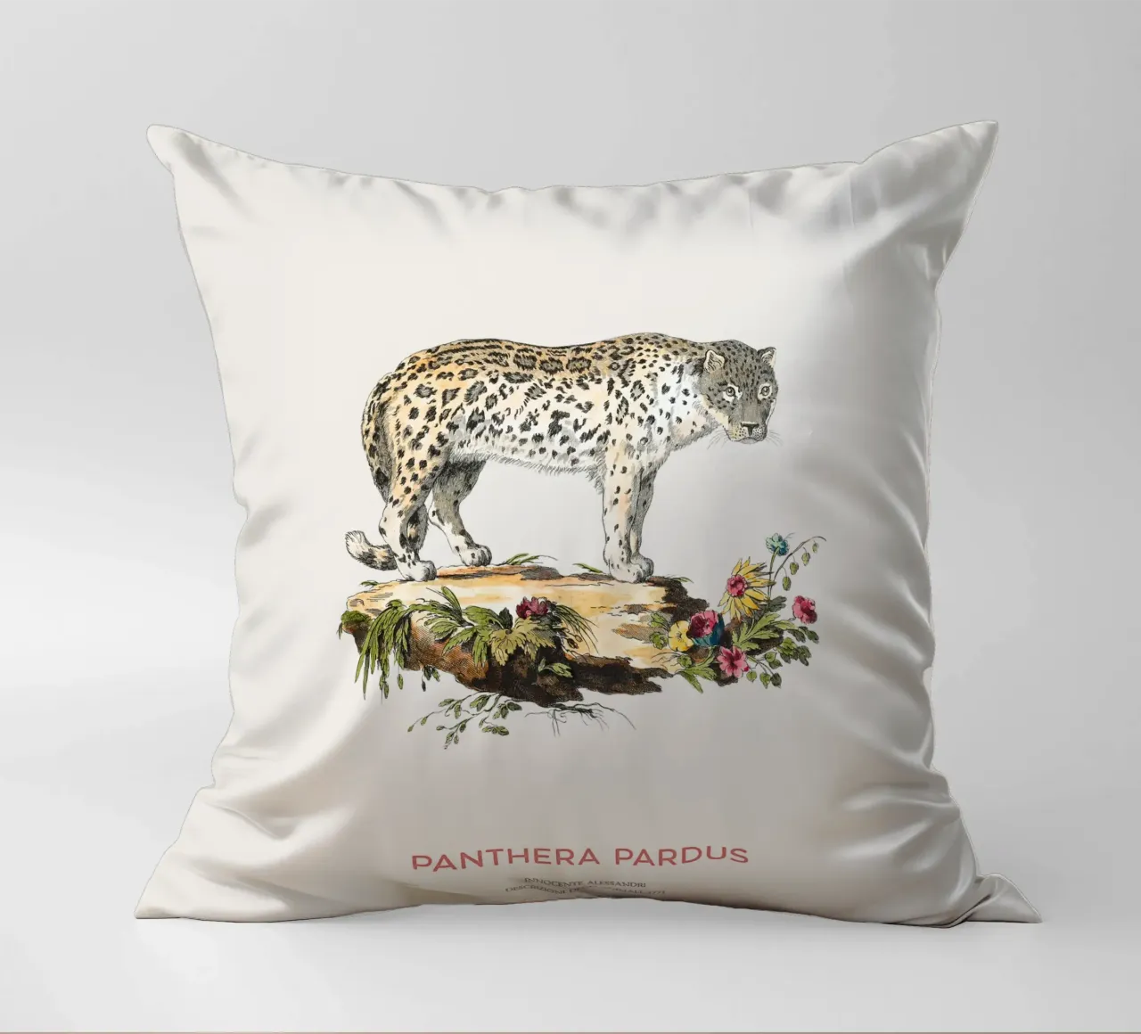 Art scientifique ancien sur le léopard coussin de Vintagrafica