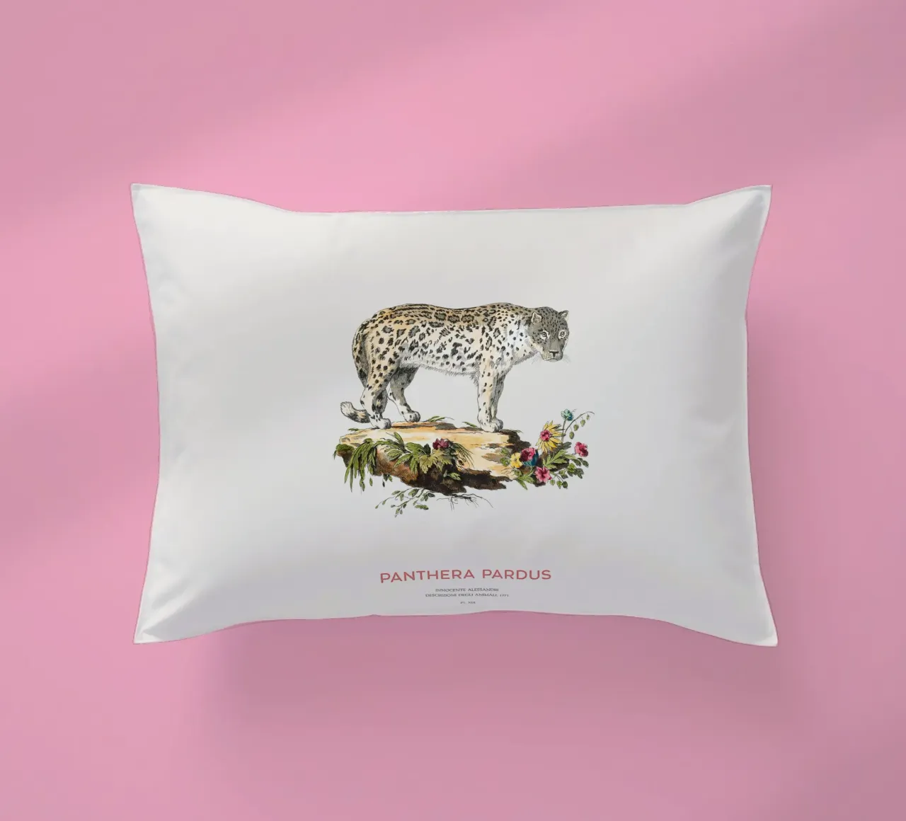 Art scientifique ancien sur le léopard coussin de Vintagrafica