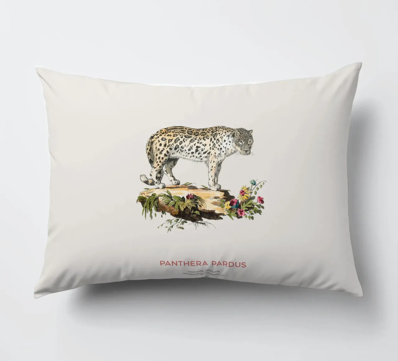 Art scientifique ancien sur le léopard coussin de Vintagrafica