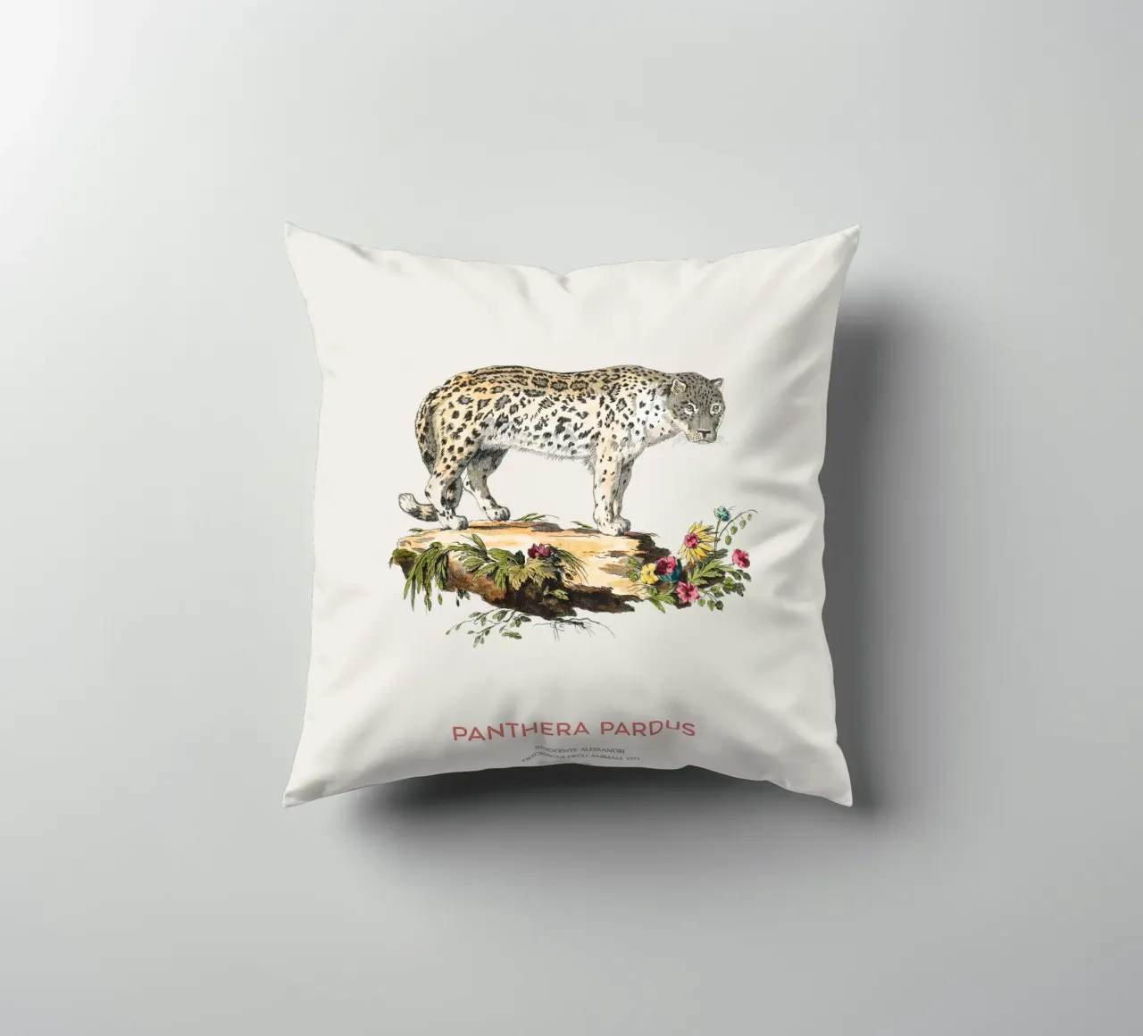 Art scientifique ancien sur le léopard coussin de Vintagrafica