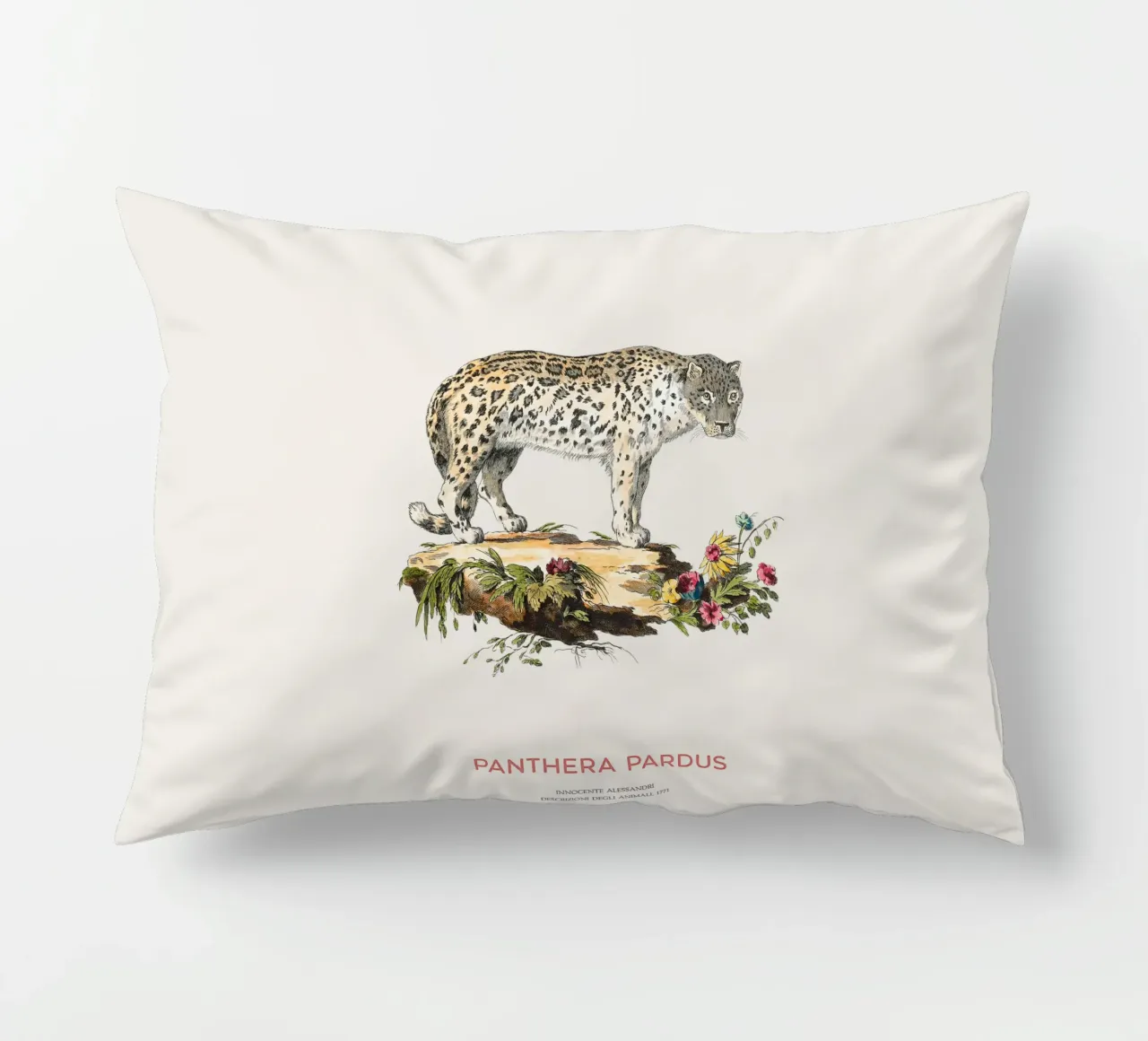 Art scientifique ancien sur le léopard coussin de Vintagrafica