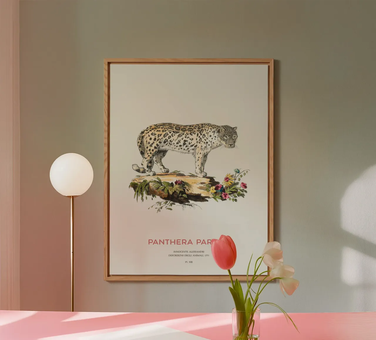 Antique Leopard Scientific Art forex plate by Vintagrafica