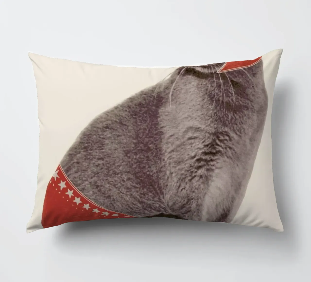 Chat Catcheur Print cuscino da Florent Bodart