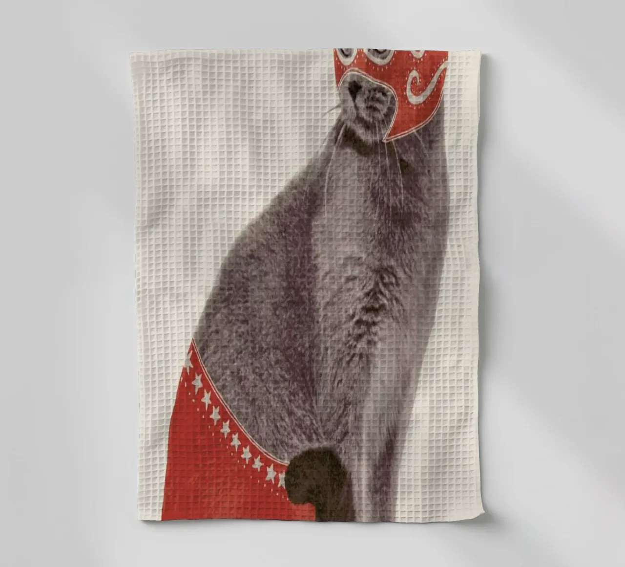 Chat Catcheur Print canovaccio da cucina da Florent Bodart