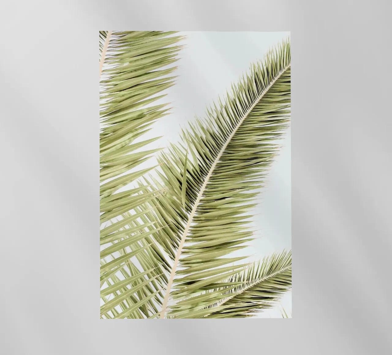 Light Palm Trees pellicola backlit da Babett Schultze