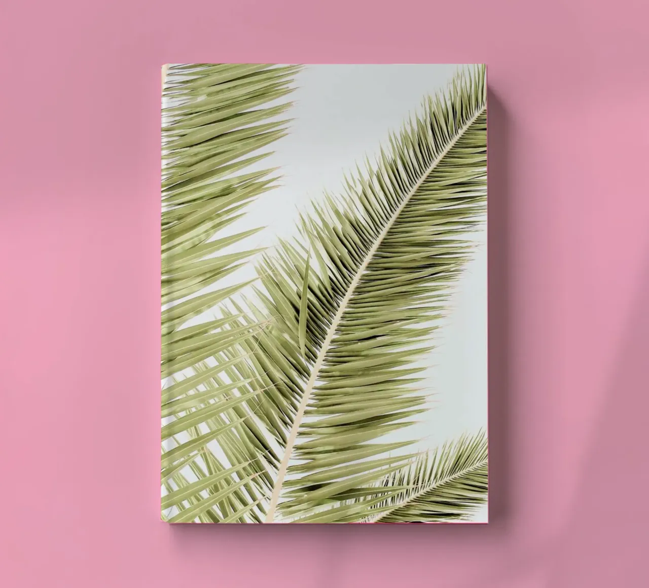 Light Palm Trees notebook by Babett Schultze