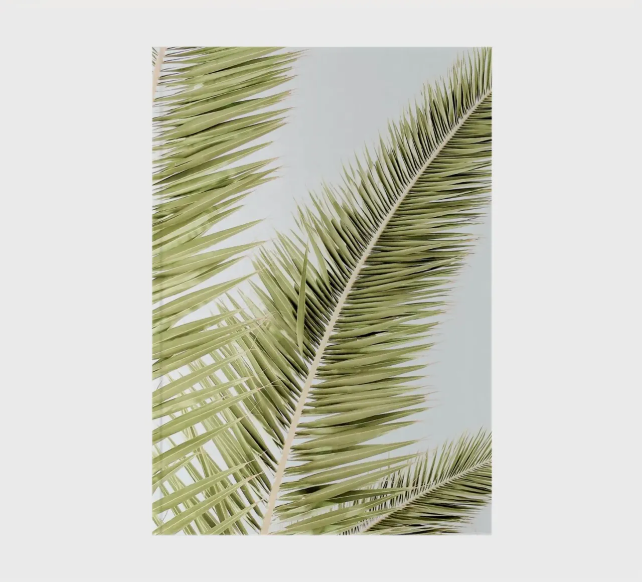 Light Palm Trees notebook by Babett Schultze