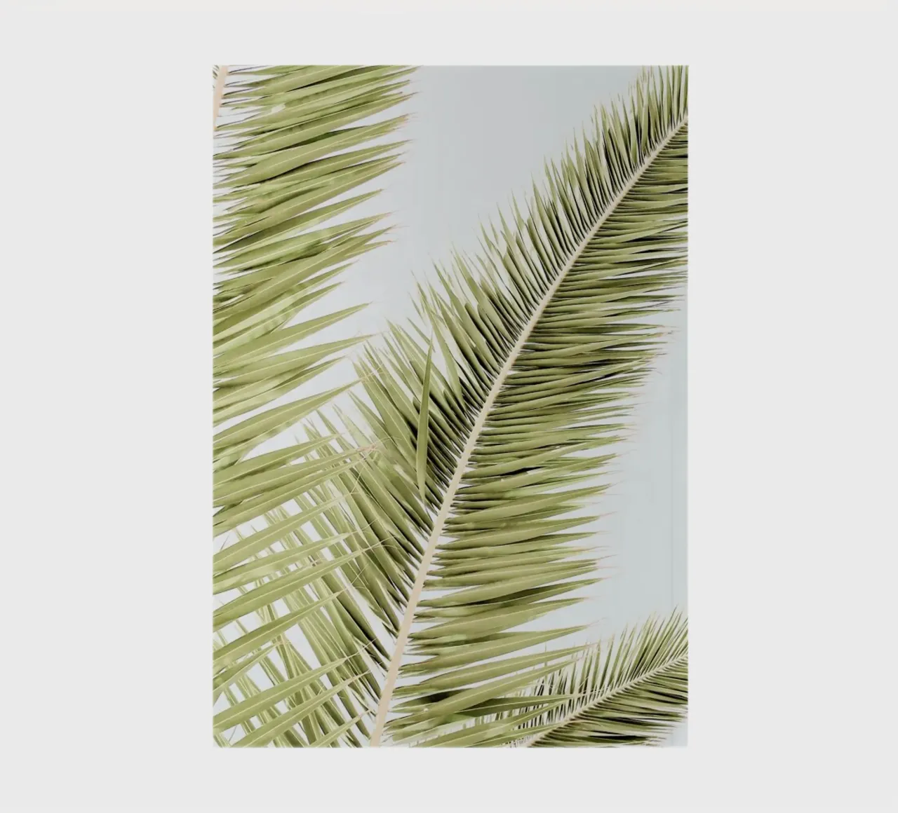 Light Palm Trees notebook by Babett Schultze