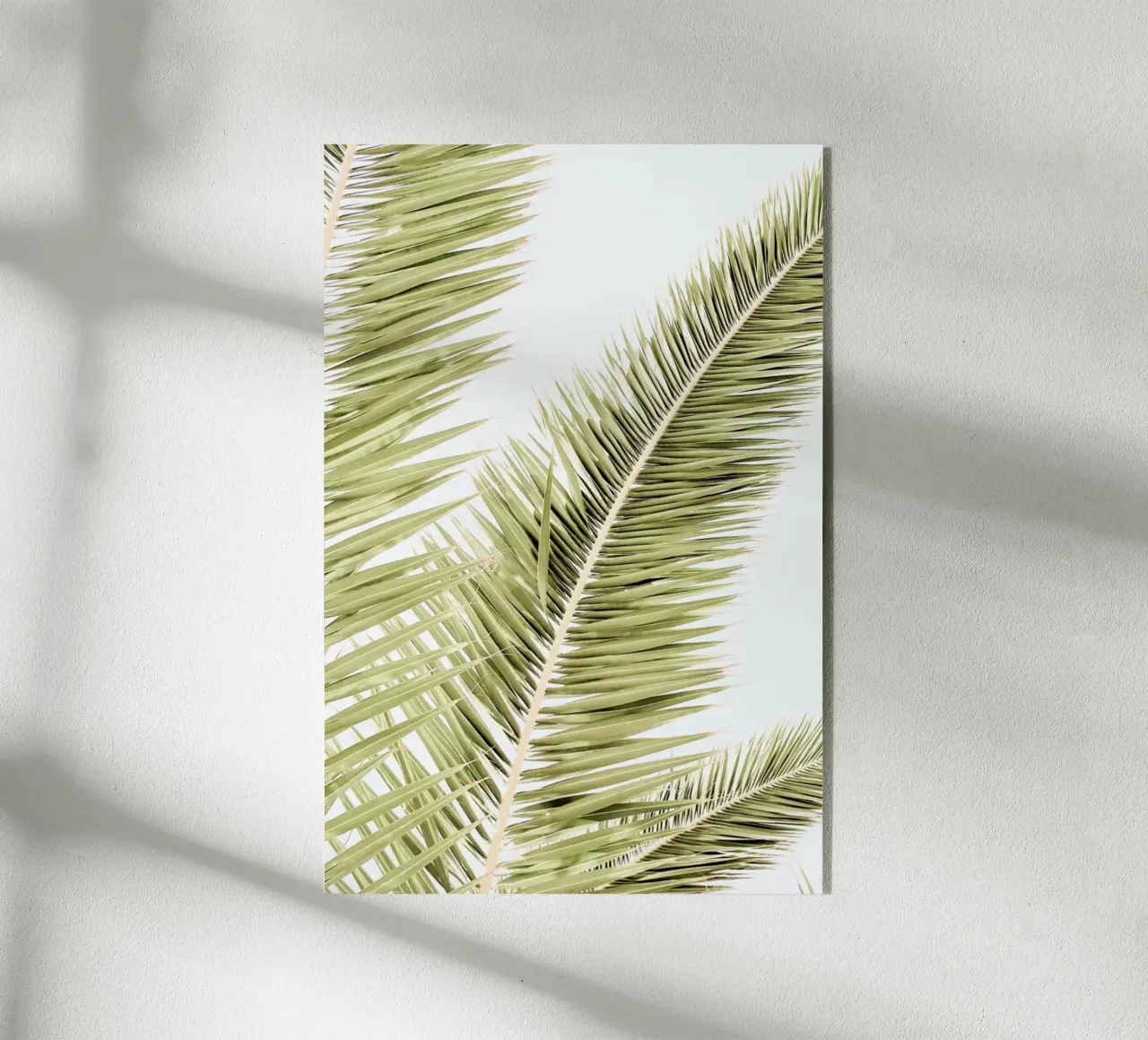 Light Palm Trees metacrilato de Babett Schultze
