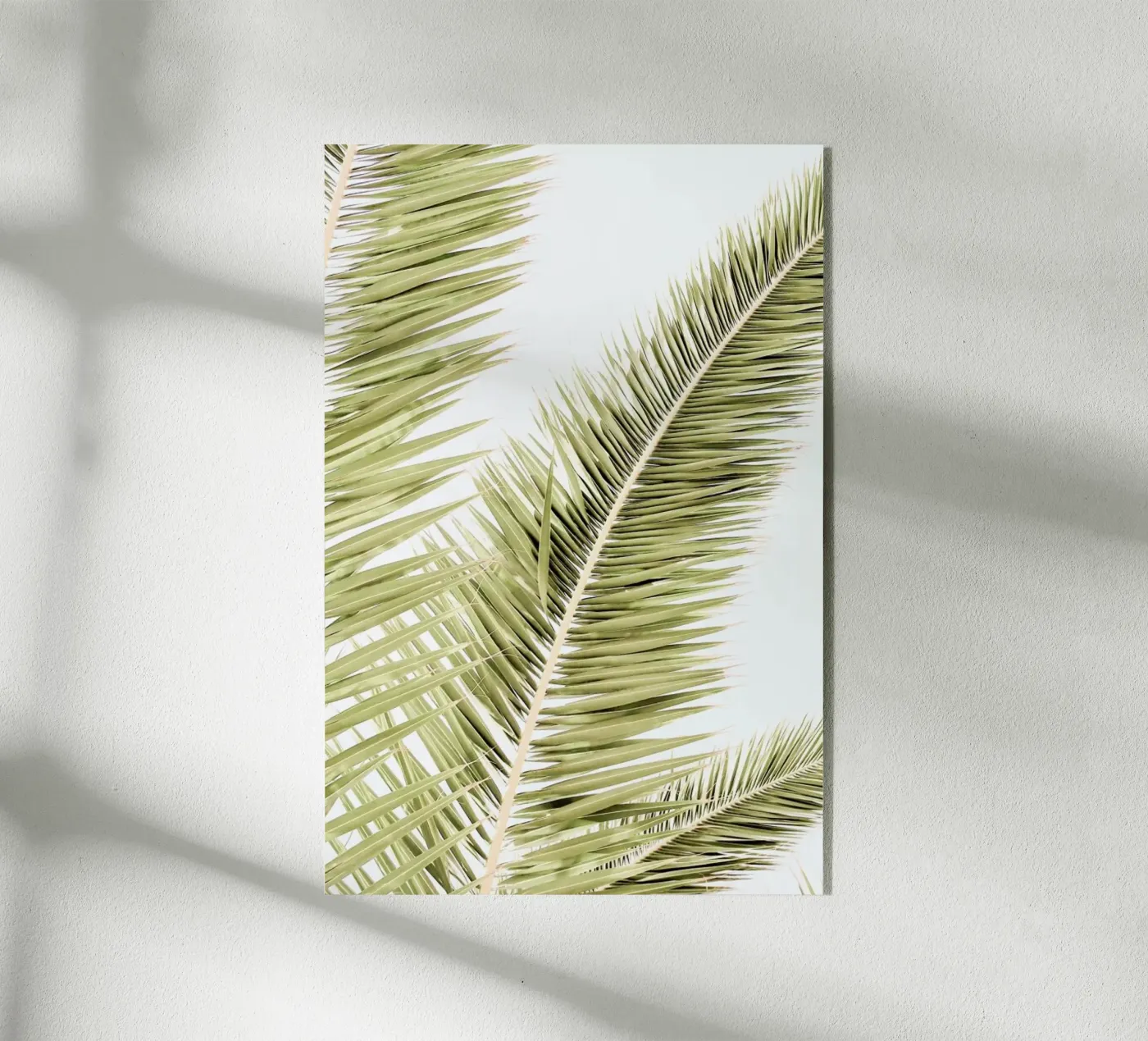 Light Palm Trees acrylic glass by Babett Schultze