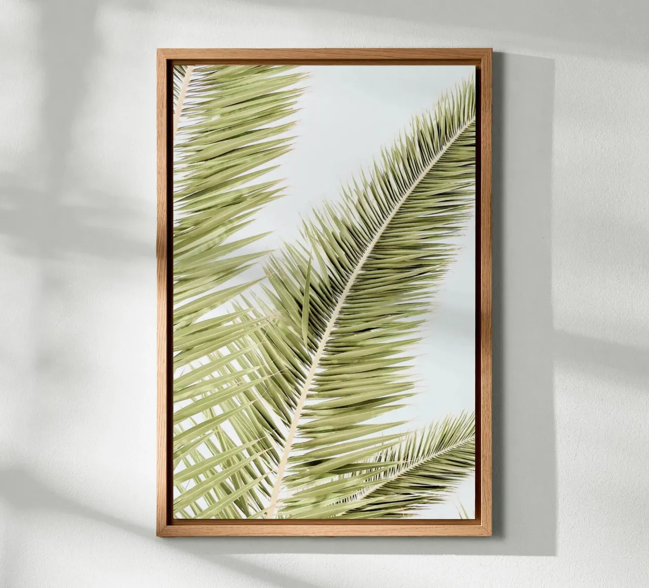 Light Palm Trees alluminio dibond da Babett Schultze