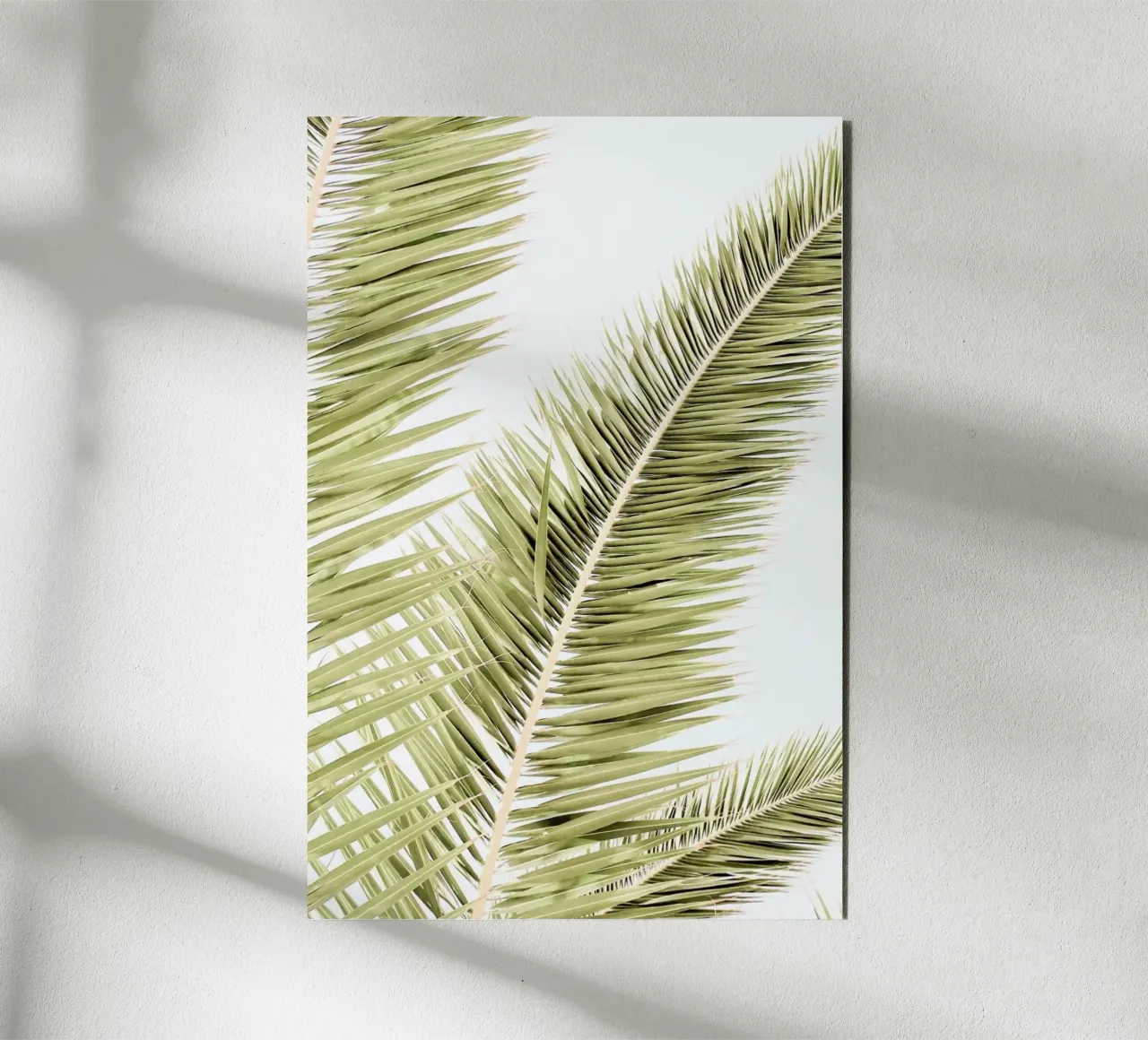 Light Palm Trees alluminio dibond da Babett Schultze