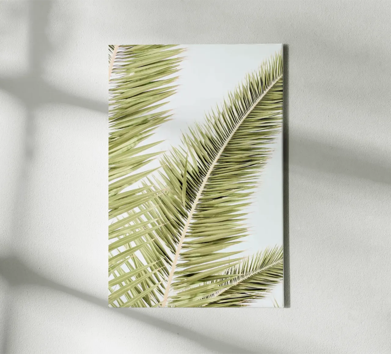 Light Palm Trees tela da Babett Schultze