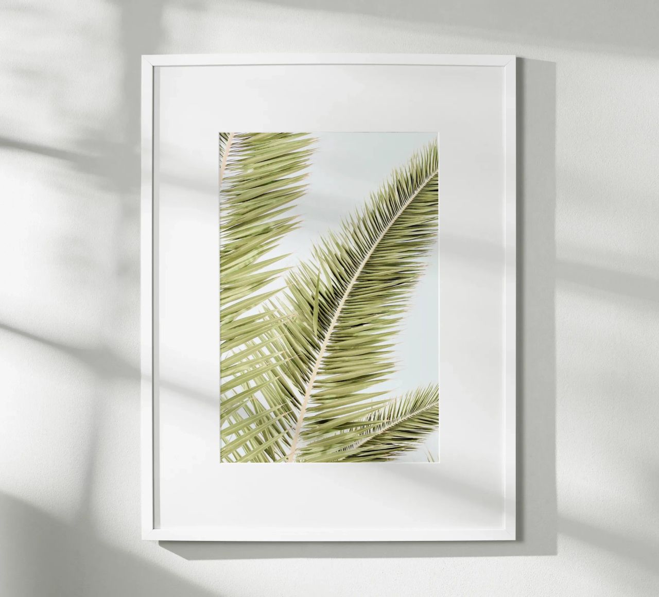 Light Palm Trees carta hahnemühle da Babett Schultze