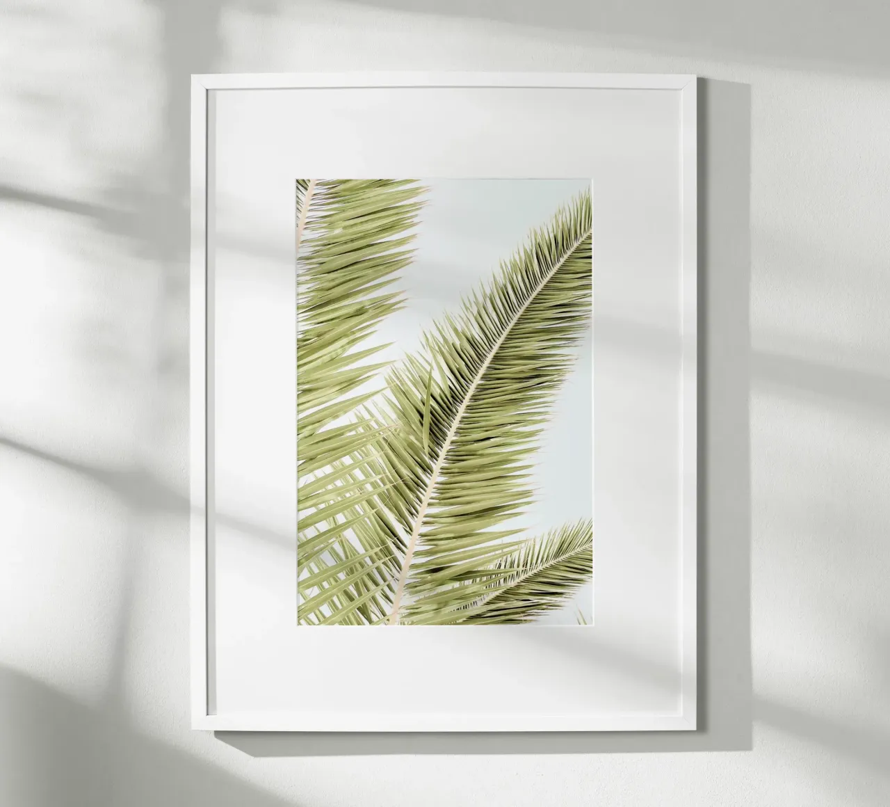 Light Palm Trees carta hahnemühle da Babett Schultze