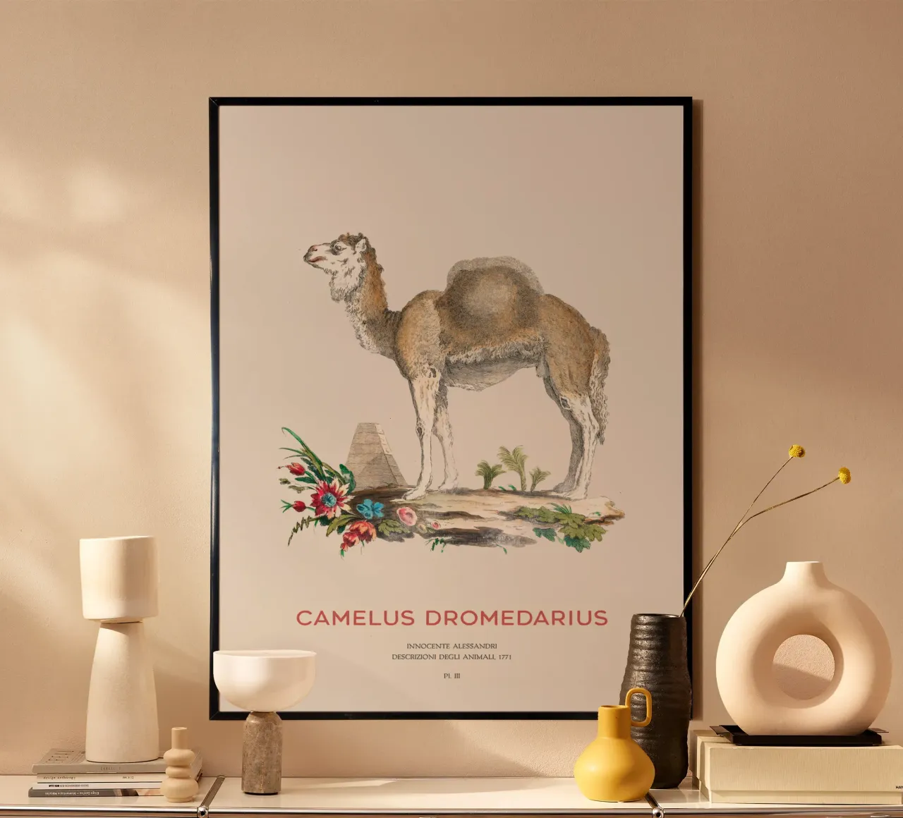 Cammello con una gobba Arte naturalistica d'epoca poster con telaio in plastica da Vintagrafica