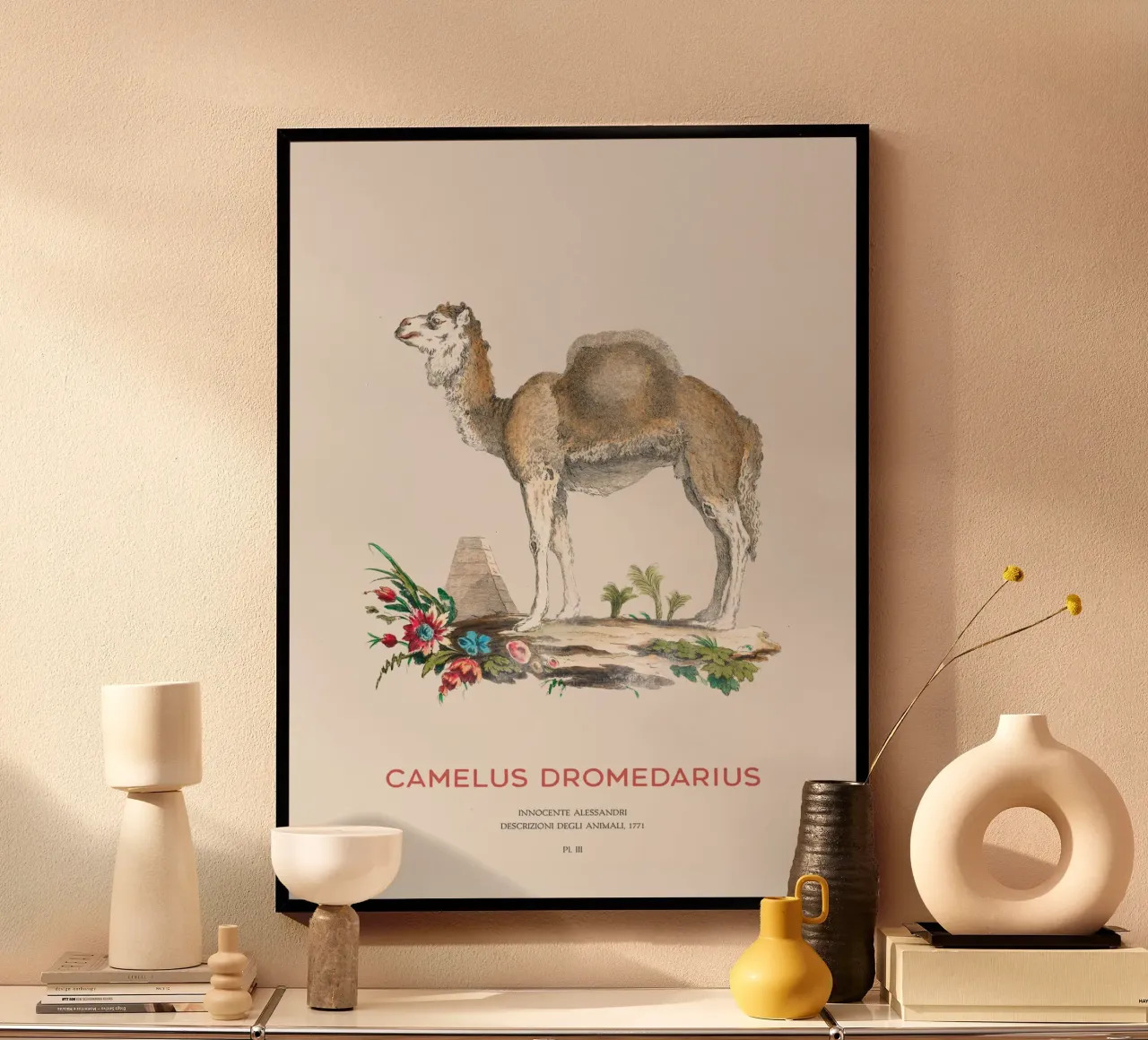 Cammello con una gobba Arte naturalistica d'epoca poster con telaio in plastica da Vintagrafica