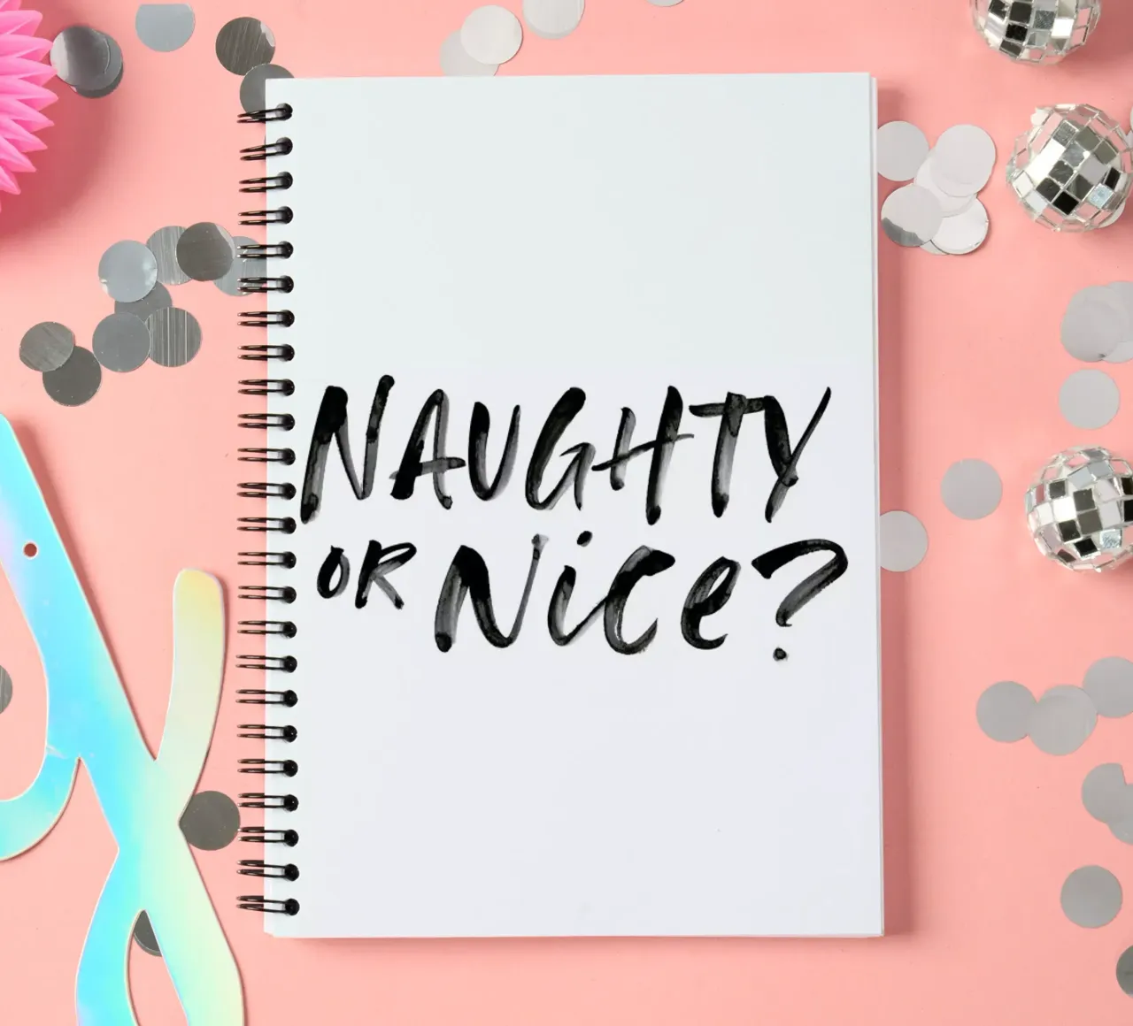 Naughty or Nice spiral notebook by daylight design studio