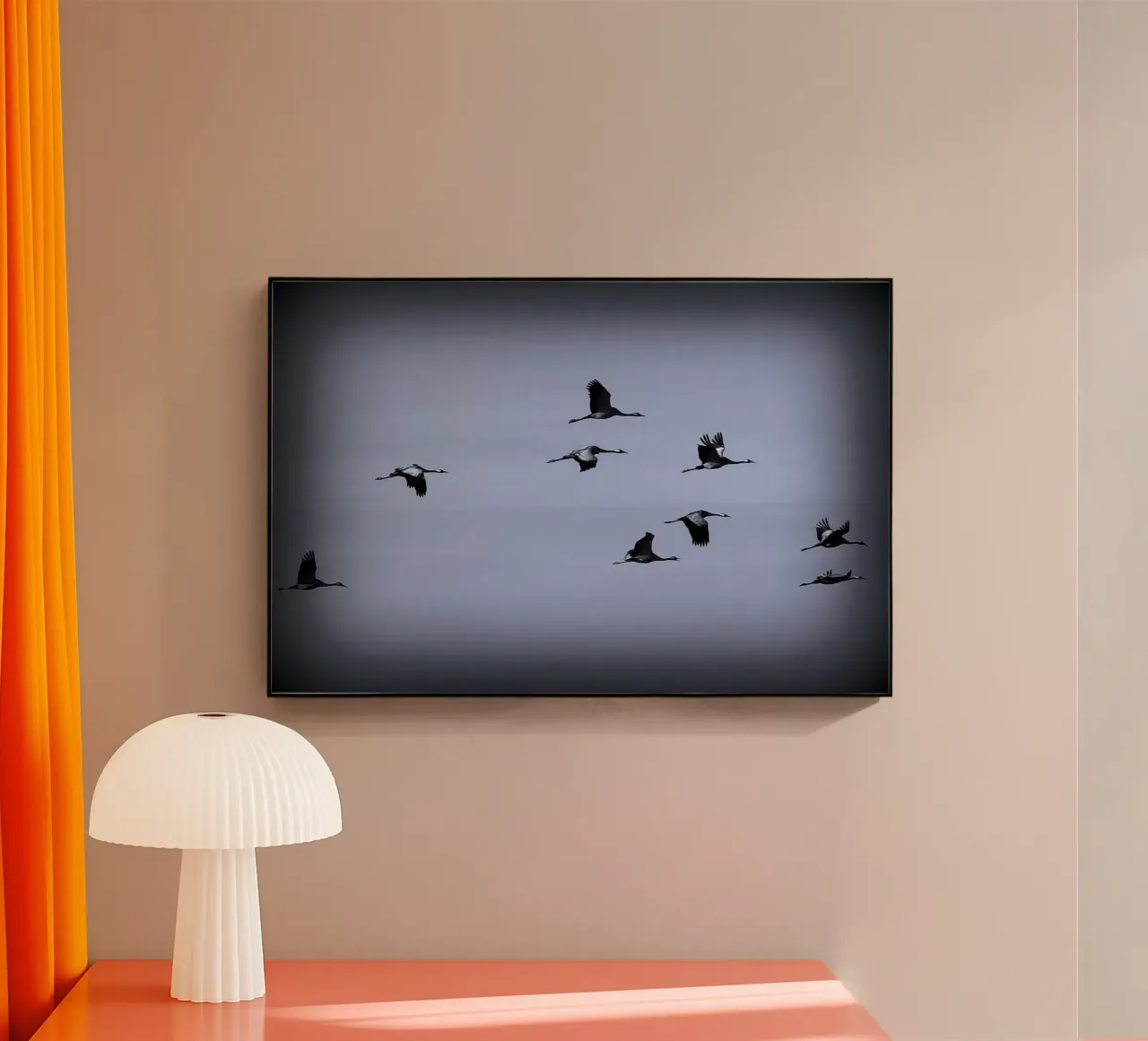 BW55 plexiglass da Thierry vobmann photography