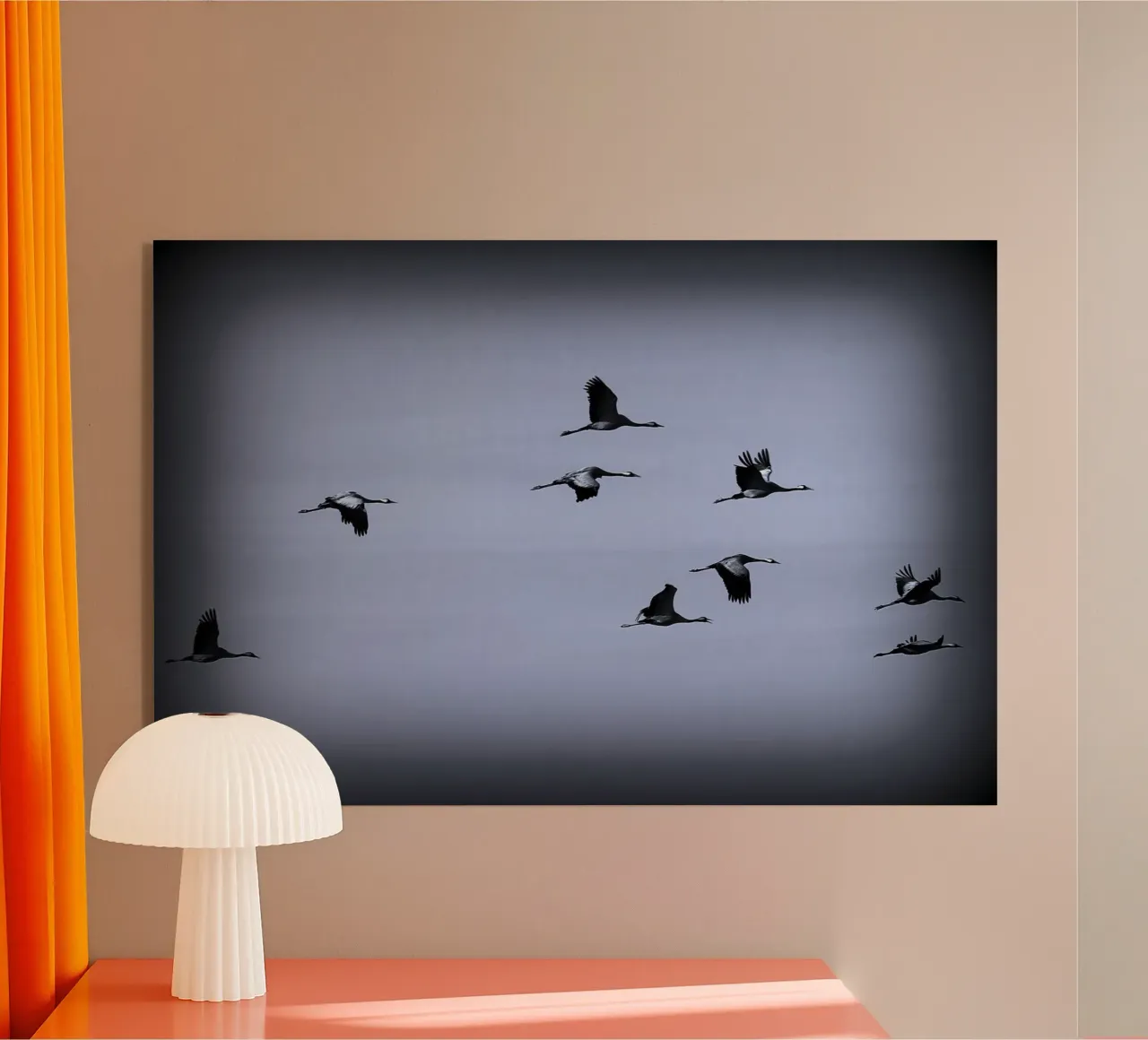 BW55 plexiglass da Thierry vobmann photography