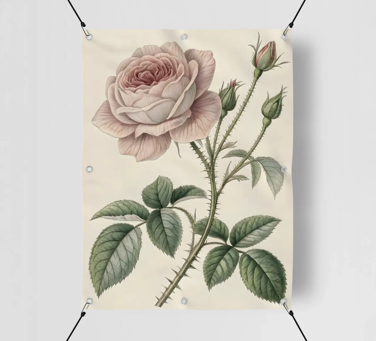 Studio botanico di una rosa vintage telo in pvc da Artistic-shop
