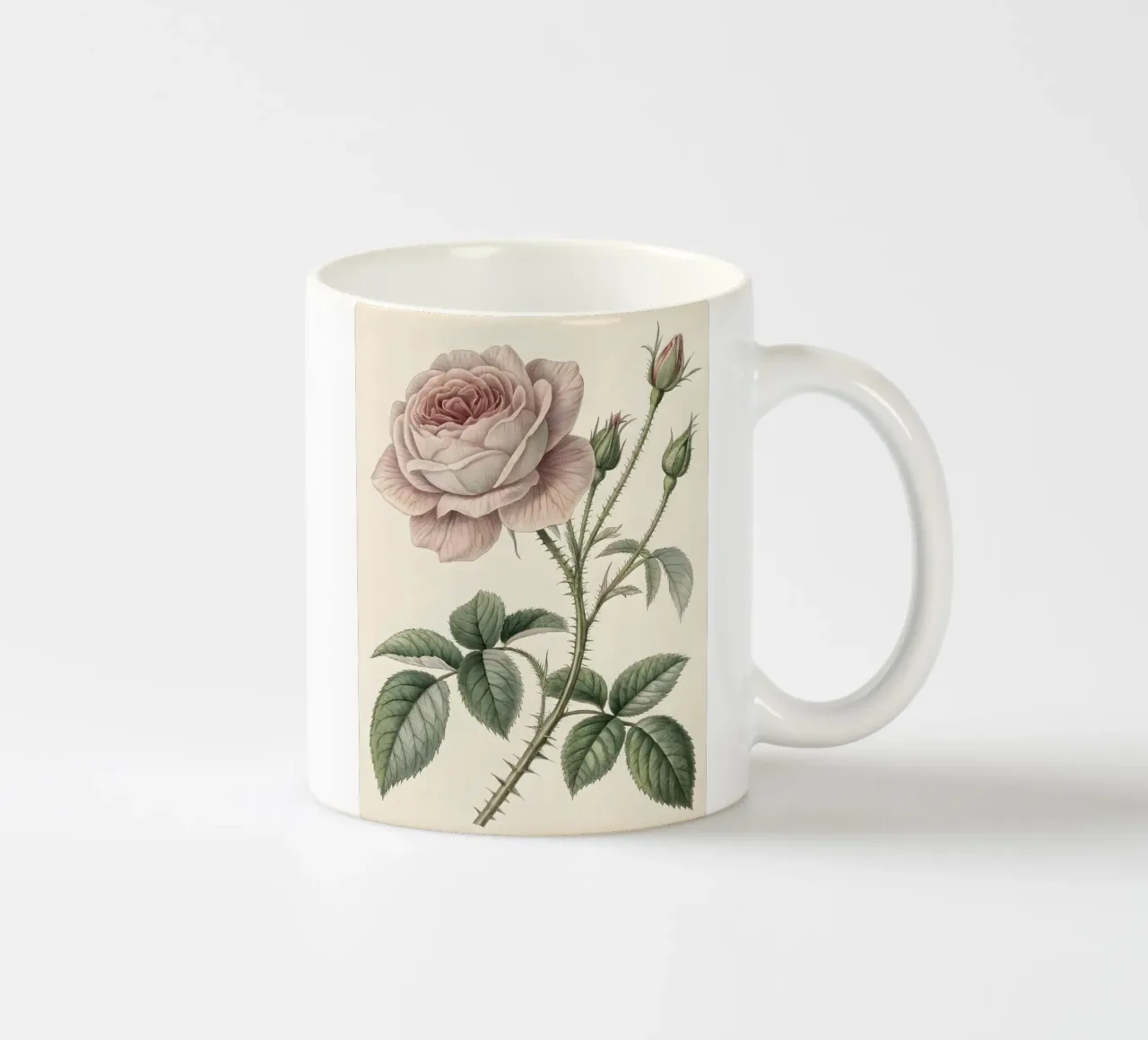 Studio botanico di una rosa vintage tazza in ceramica da Artistic-shop