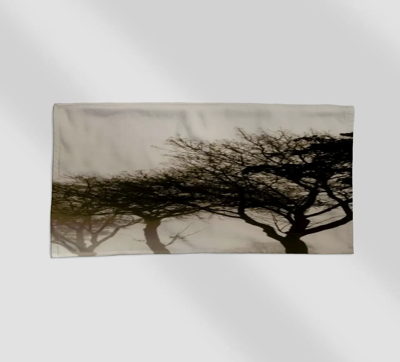 Brown Trees telo mare da Monika Strigel