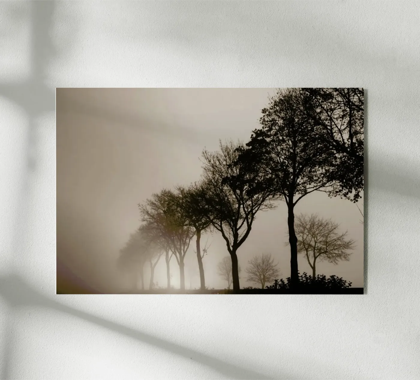 Brown Trees Acryl-Glas von Monika Strigel