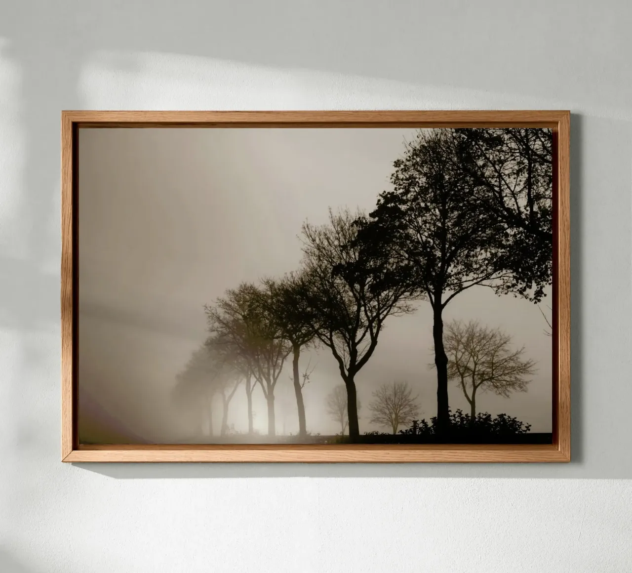 Brown Trees alluminio dibond da Monika Strigel