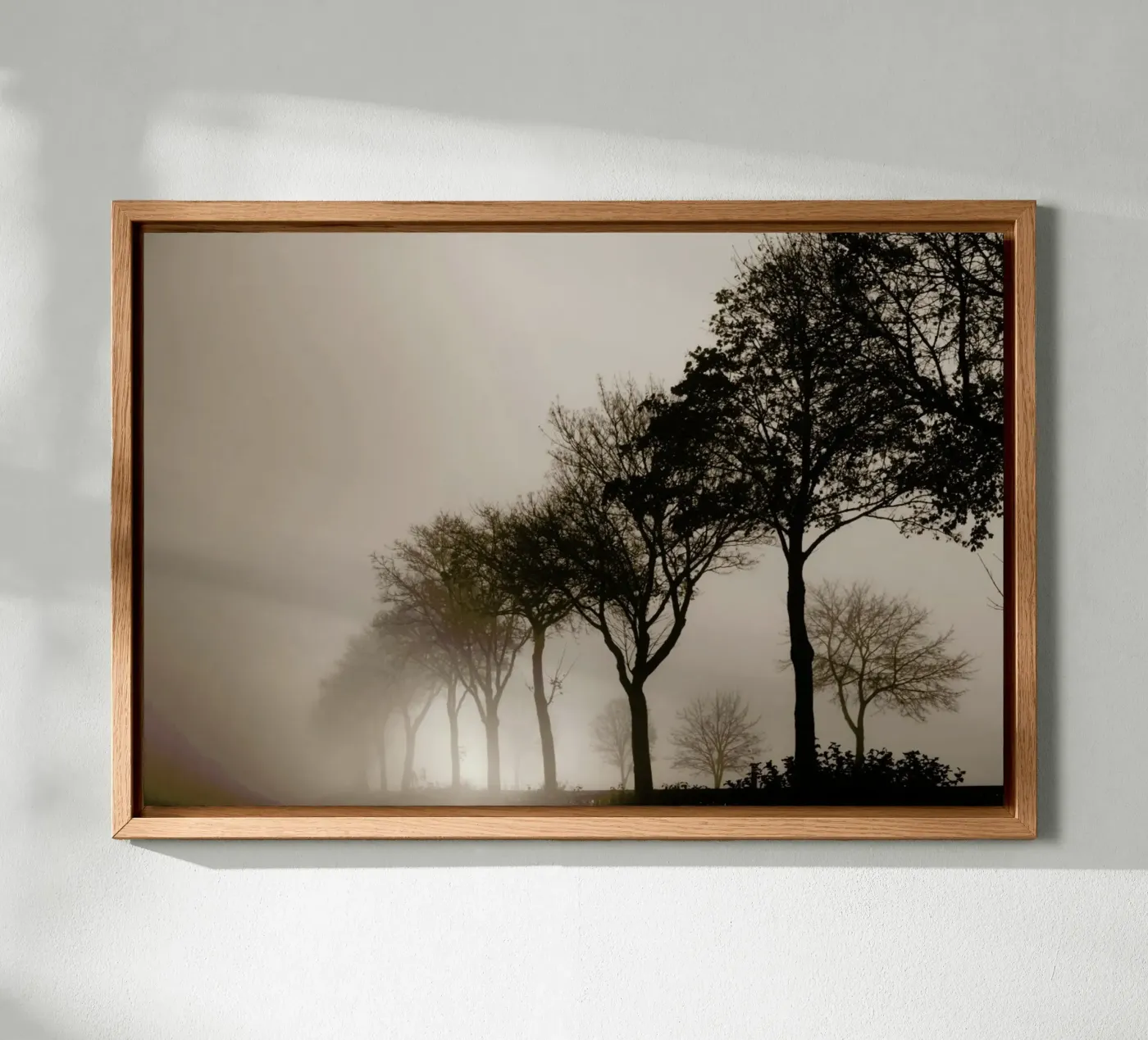 Brown Trees forex plate by Monika Strigel