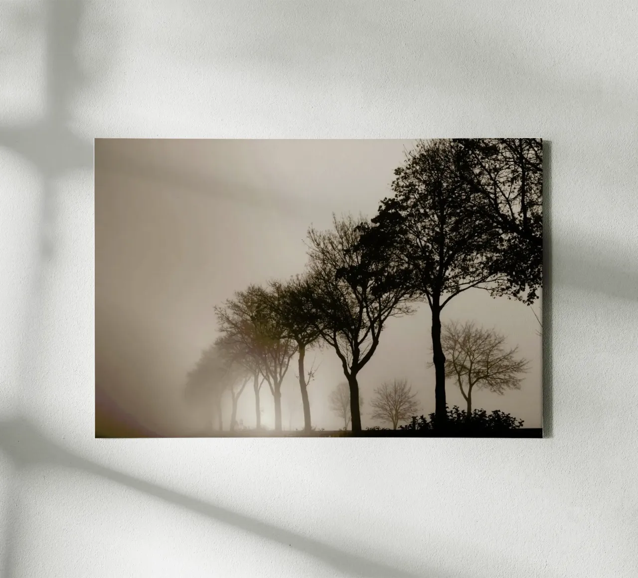 Brown Trees tela con Cornice a cassetta da Monika Strigel
