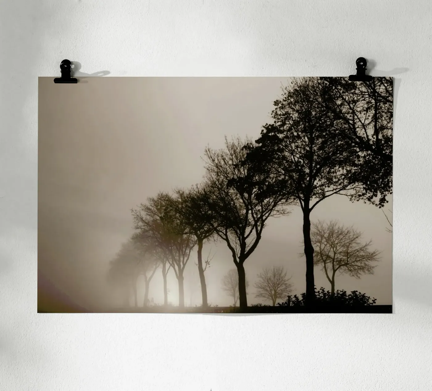 Brown Trees poster by Monika Strigel