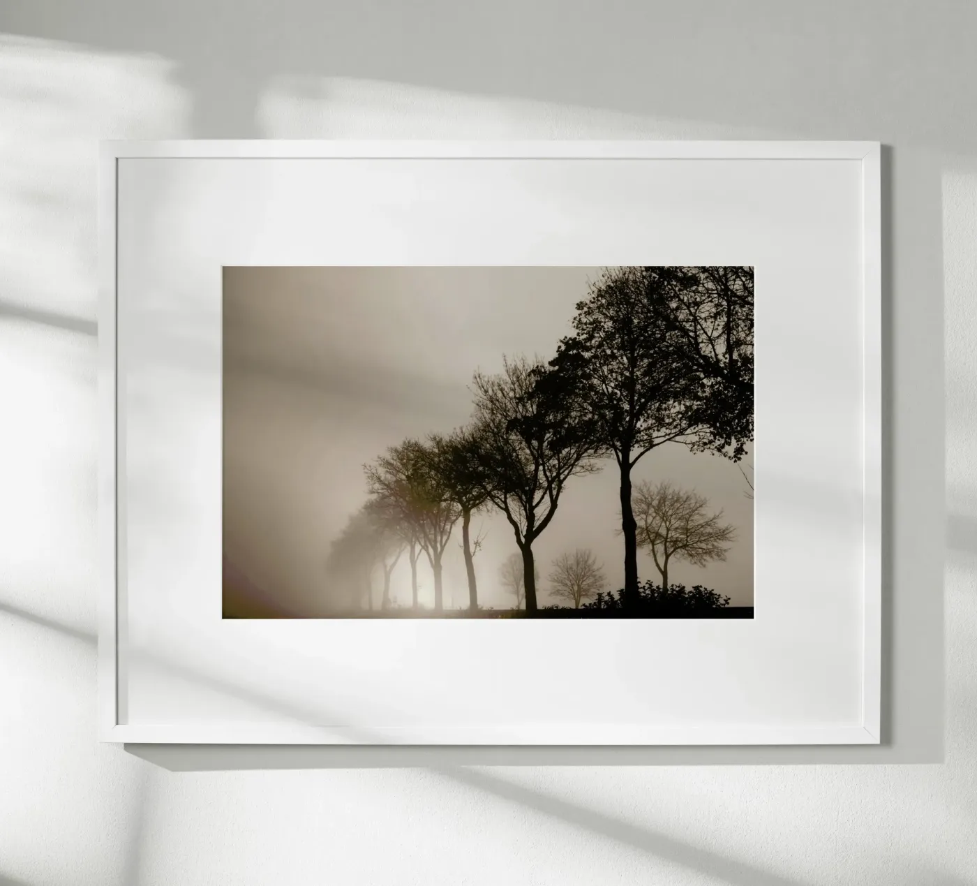 Brown Trees poster van Monika Strigel